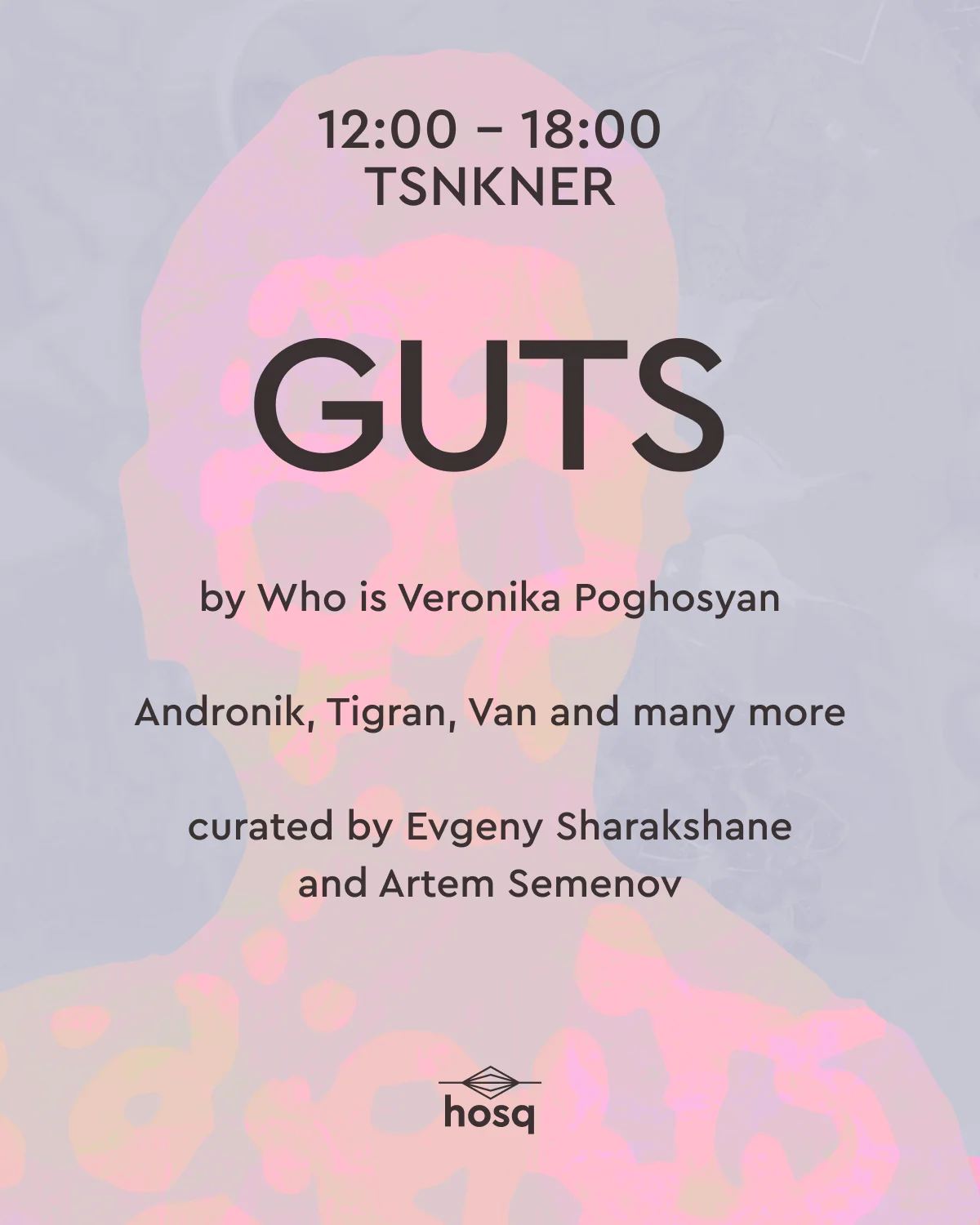 GUTS | Installation