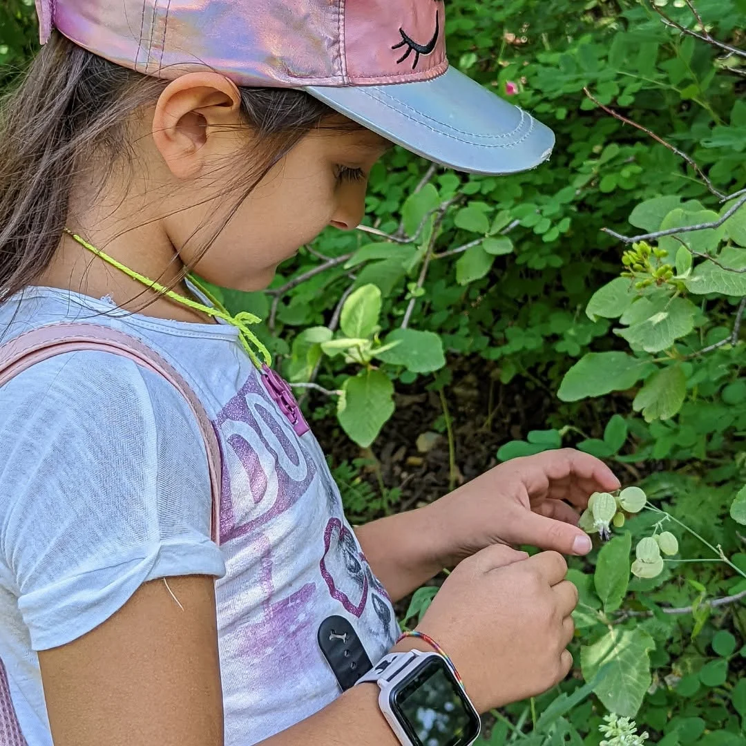 Kids Hike: Buzhakan Forest & Teghenyats Monastery