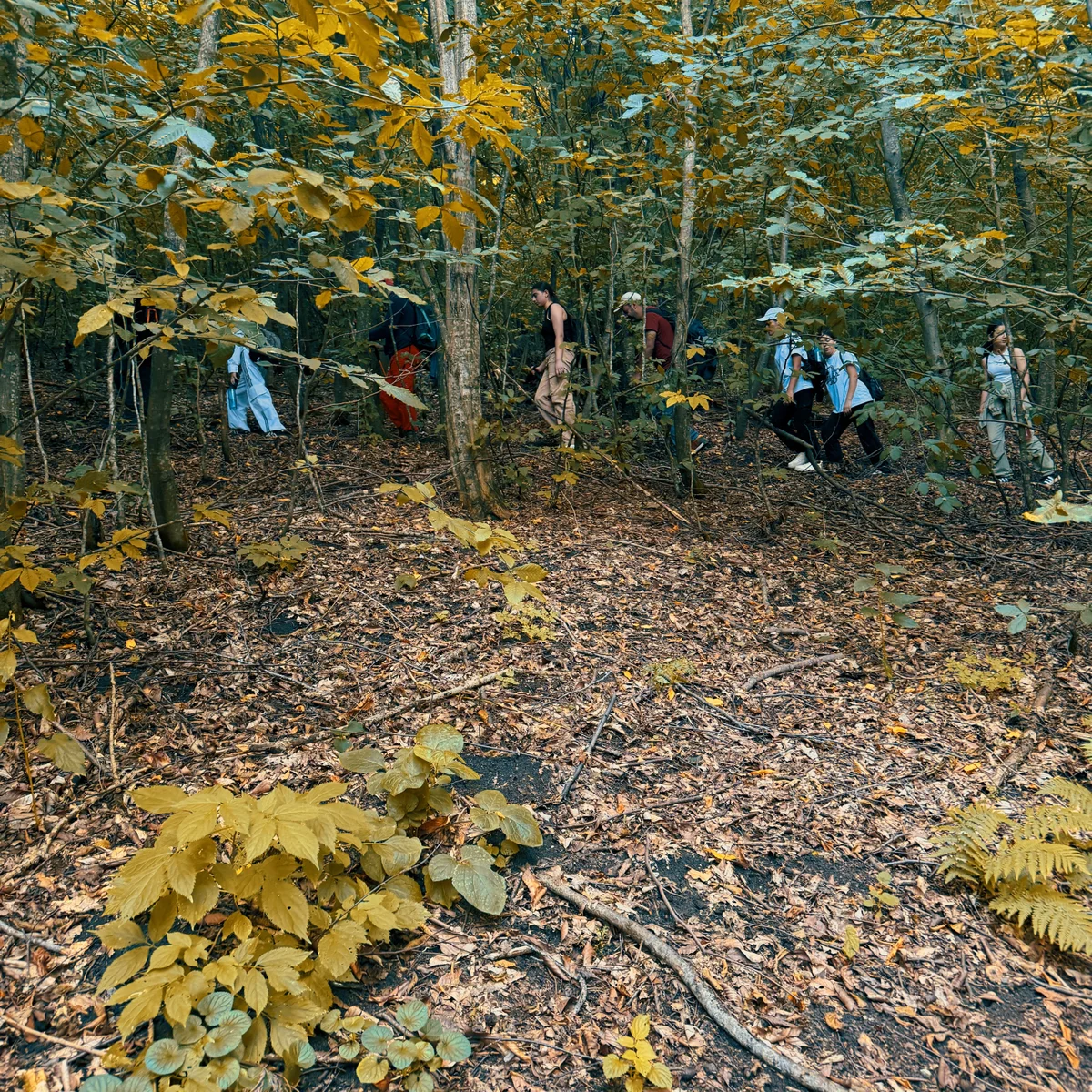 Hiking: 3 Hawks Trail
