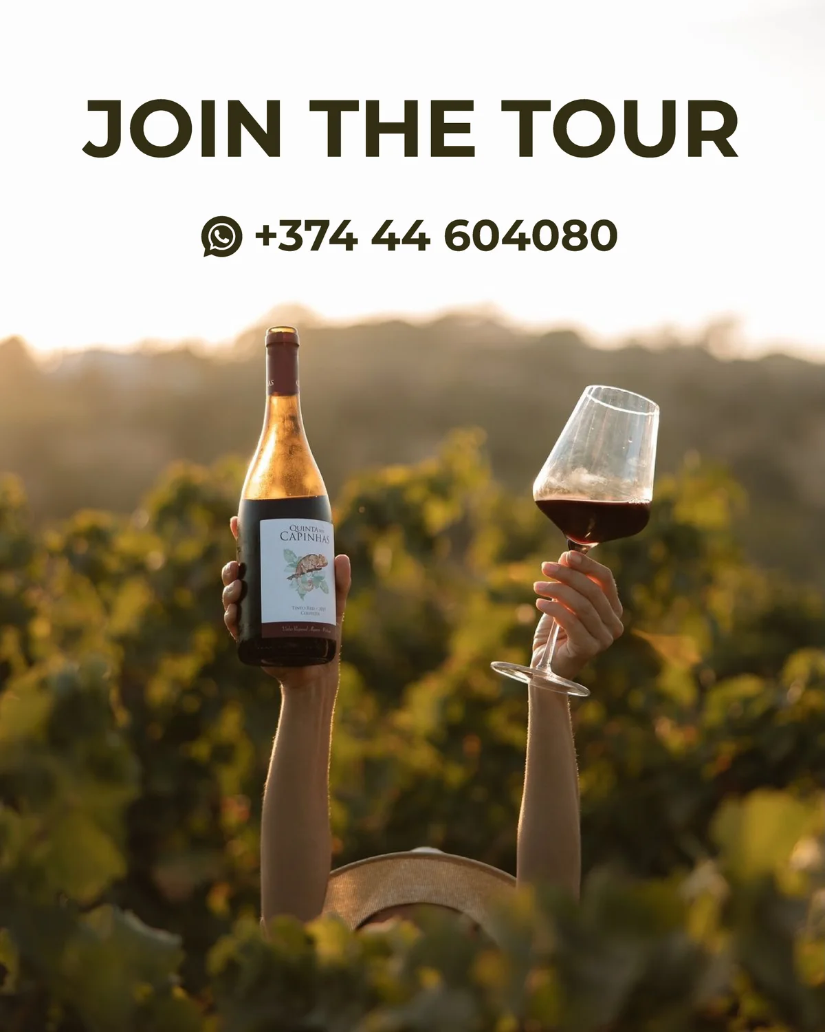 Areni Wine Festival և Մագելանի քարանձավ