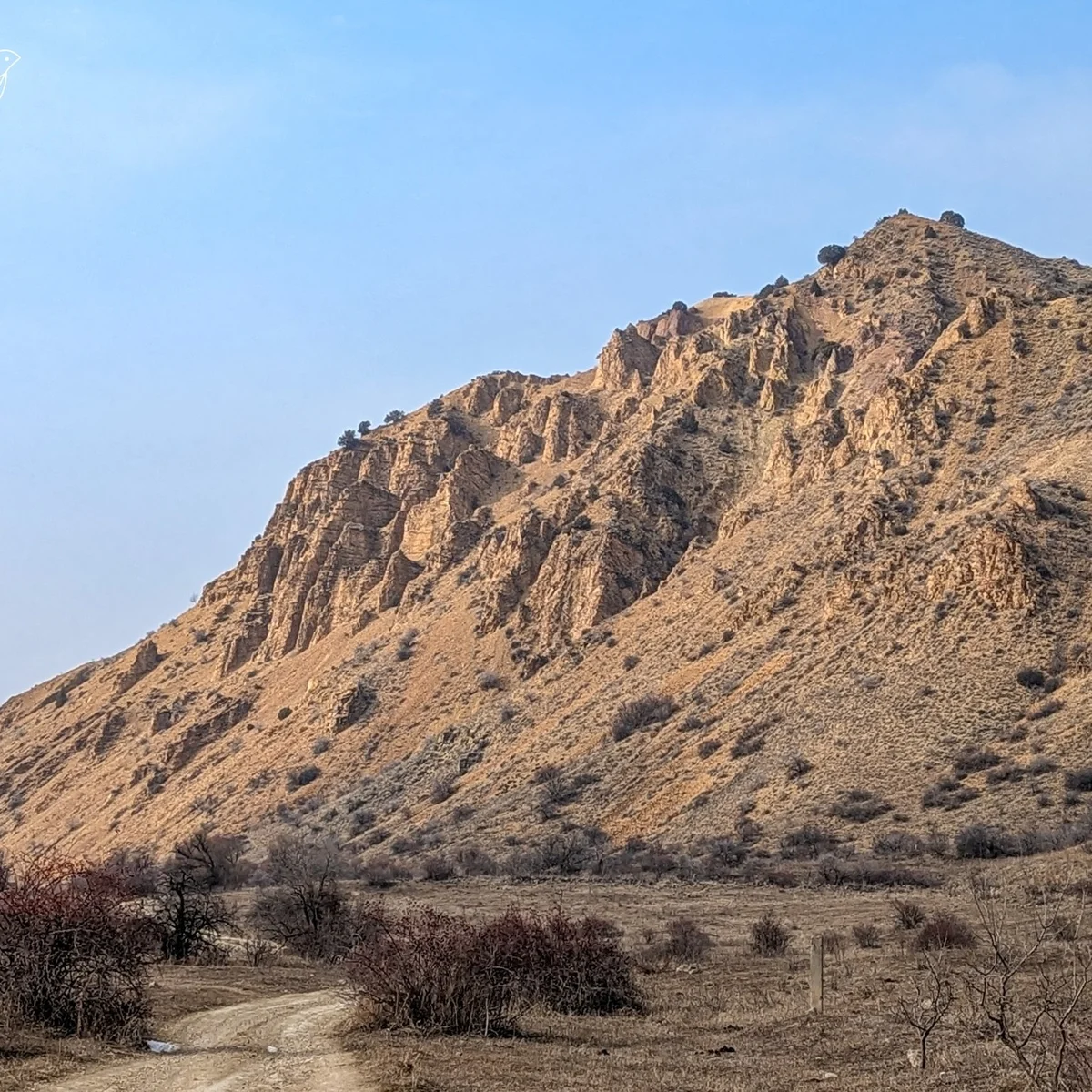 Kids Hike: Astghik & Vahagn Waterfalls