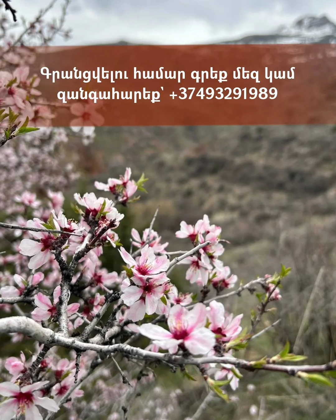 Gnishik Gorge Hike and Noravank