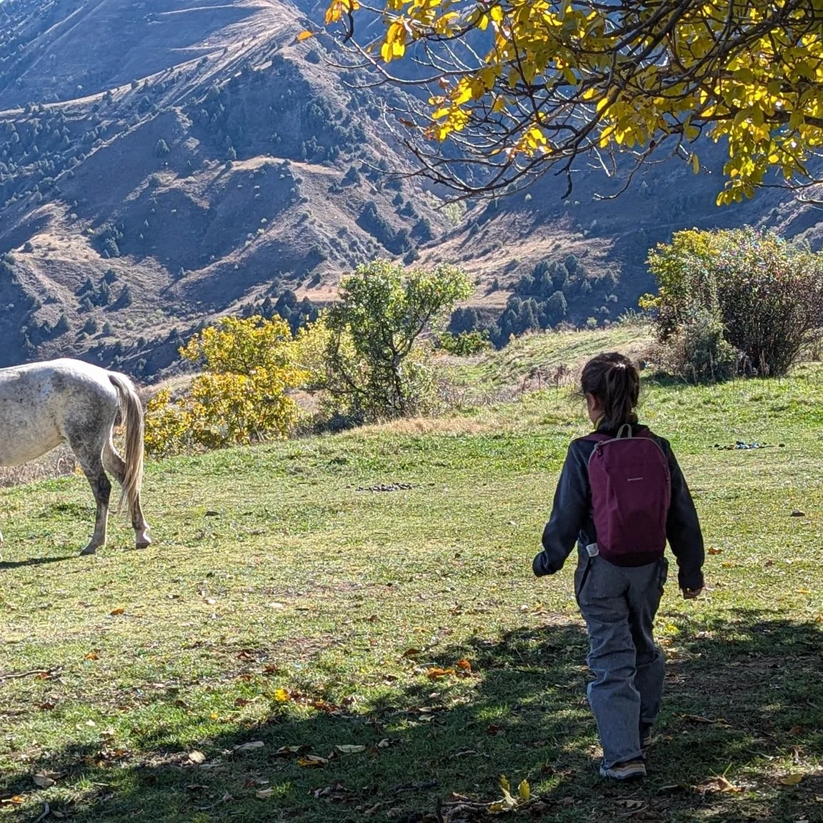 Kids Hike to Astghik and Vahagn Waterfalls
