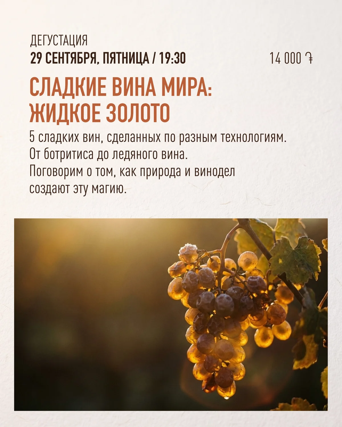 Все стили вина за один вечер