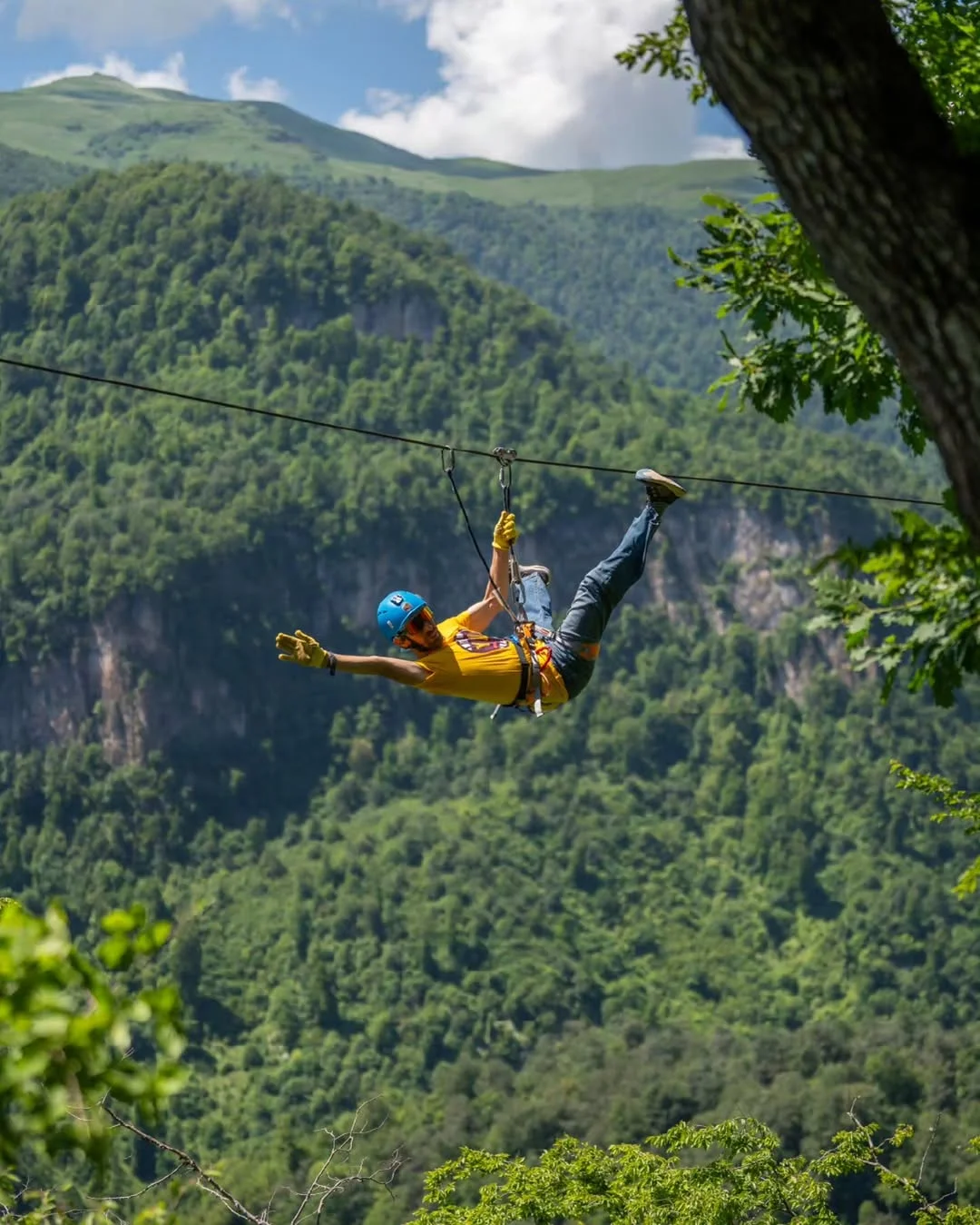 Run & Fly