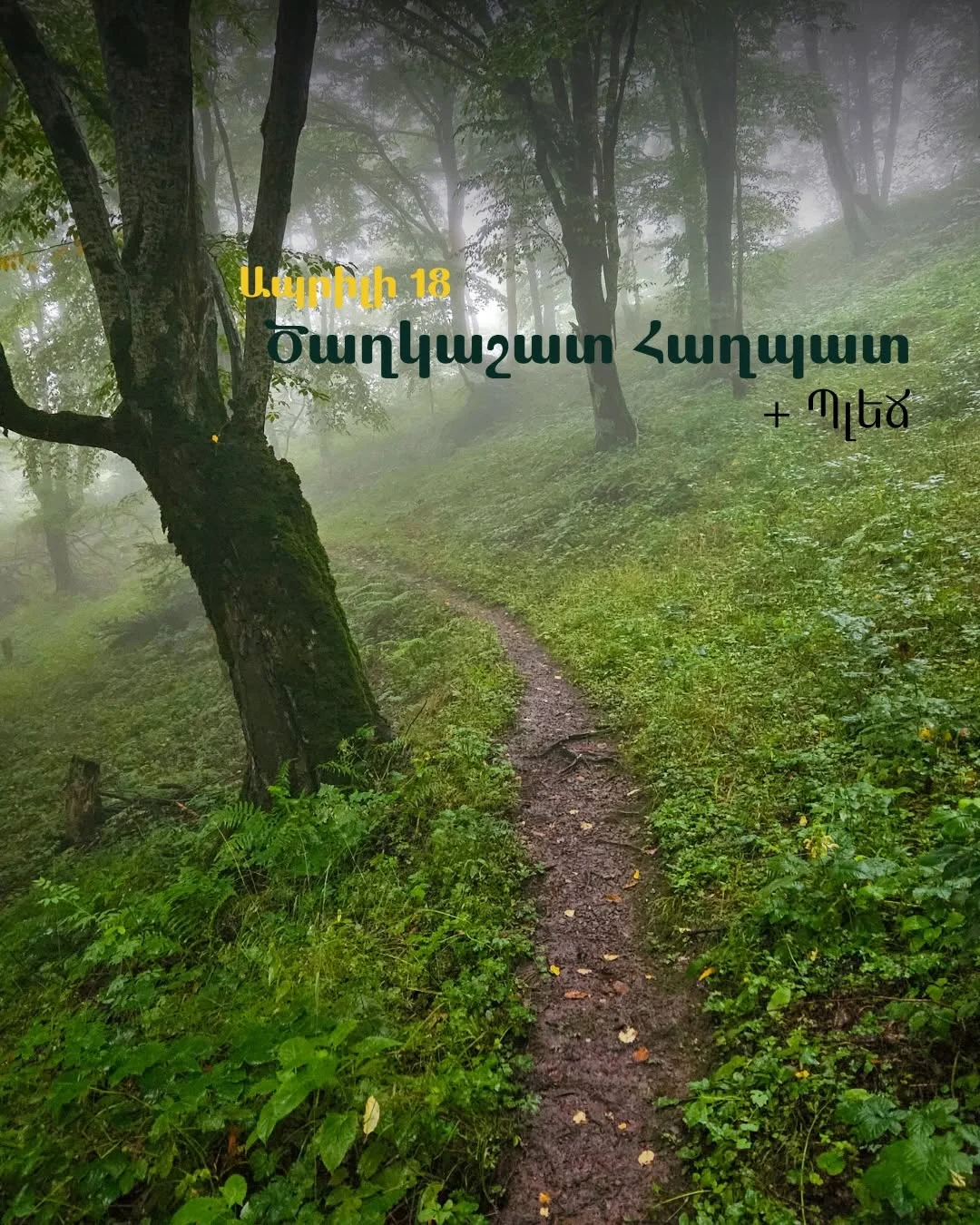 Цахкашат – Ахпат и плеч