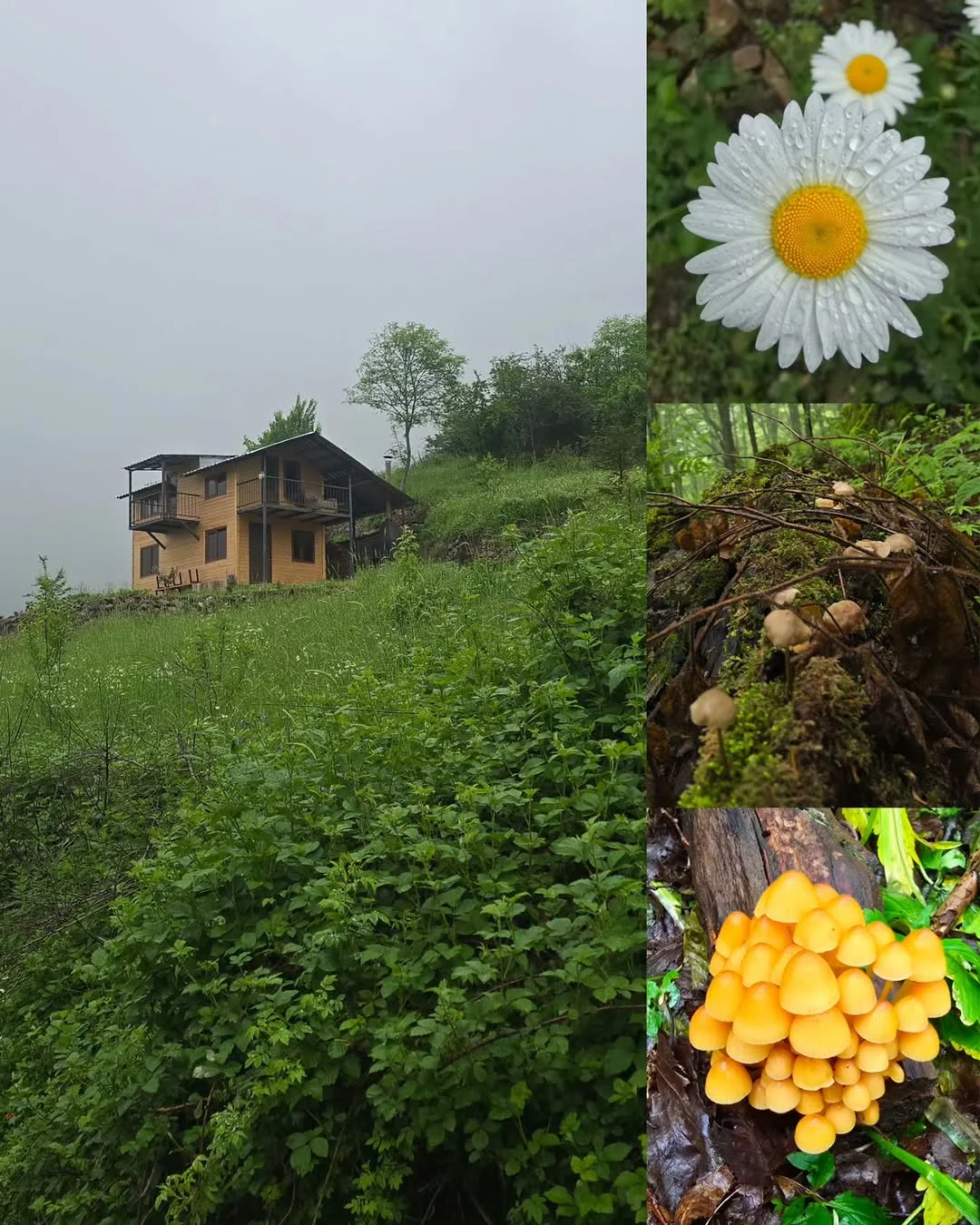 Three-Day Tent Hike to Mount Khustup