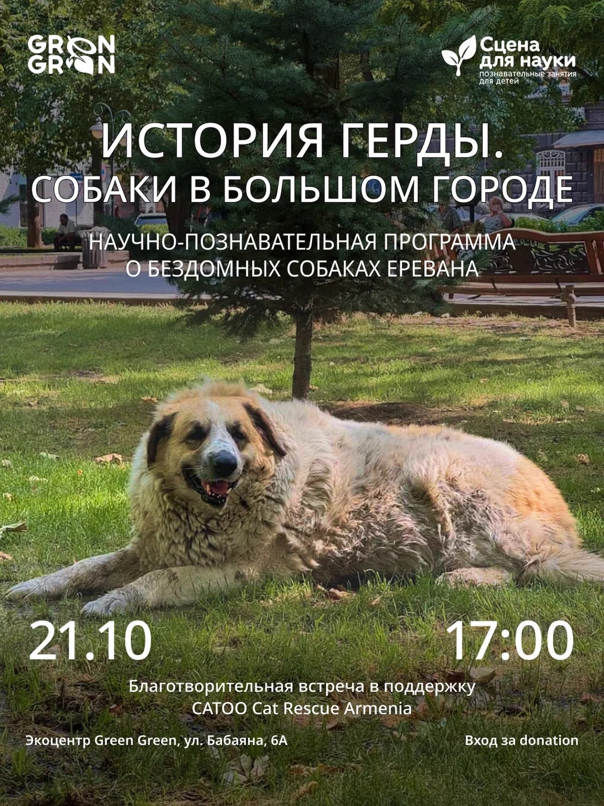 Gerda's Story: Dogs in the Big City