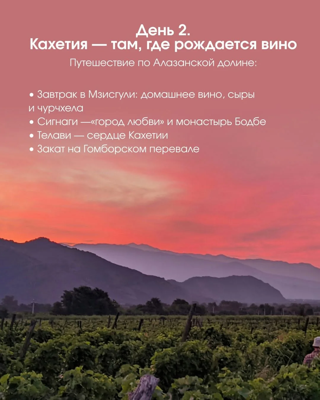Путешествие в Тбилиси и Кахетию