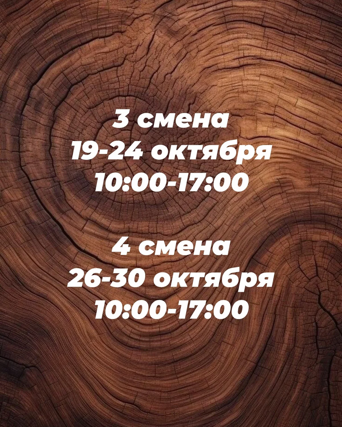 Մանկական ճամբար «Ստոլյարկինո»-ում