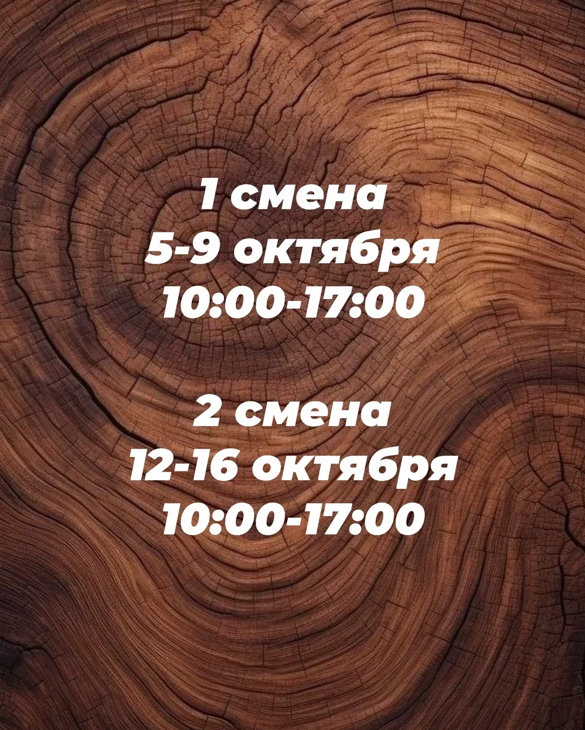 Մանկական ճամբար «Ստոլյարկինո»-ում