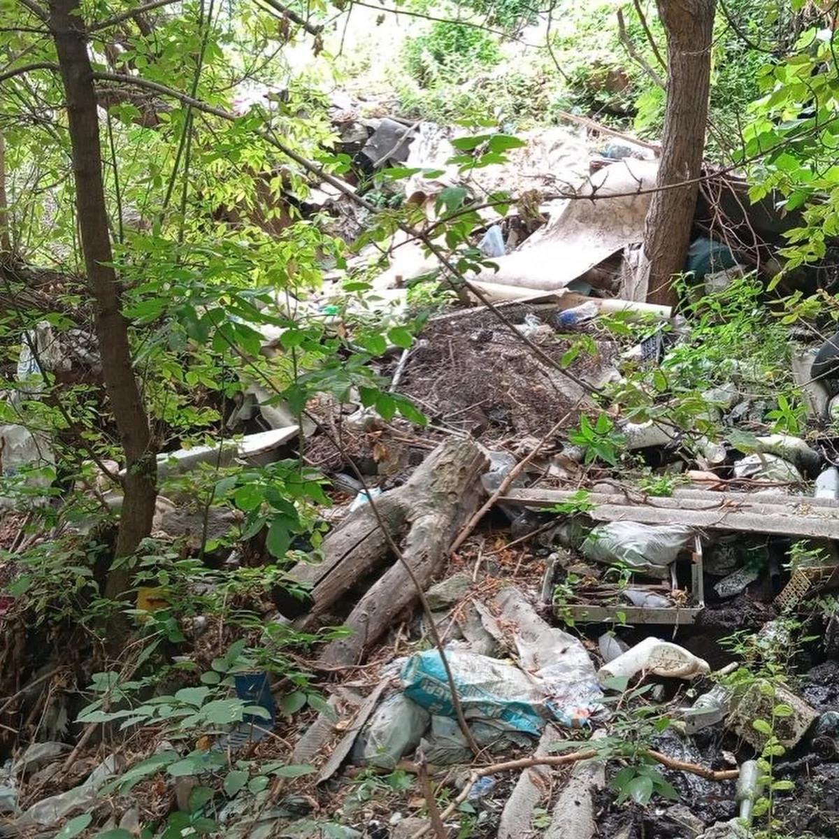 Cleanup #173. Hrazdan Gorge