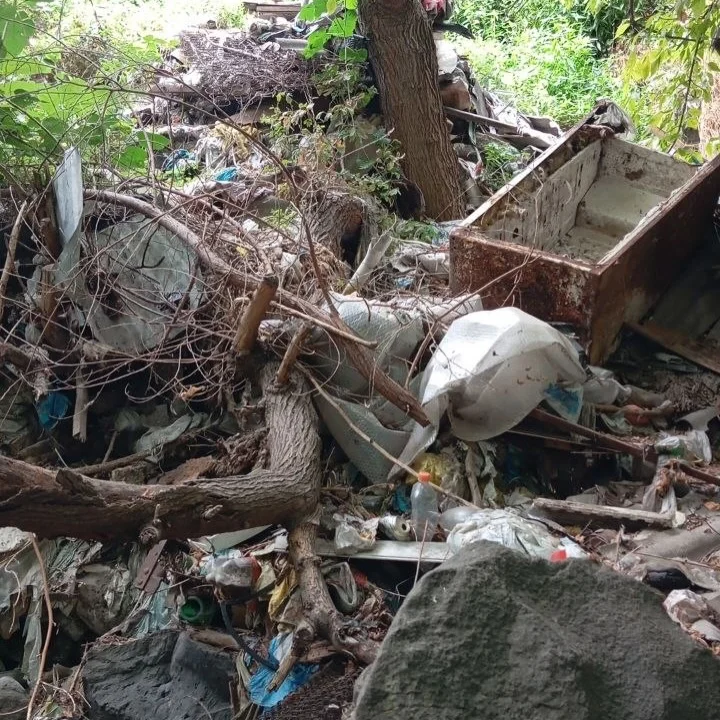 Cleanup #173. Hrazdan Gorge