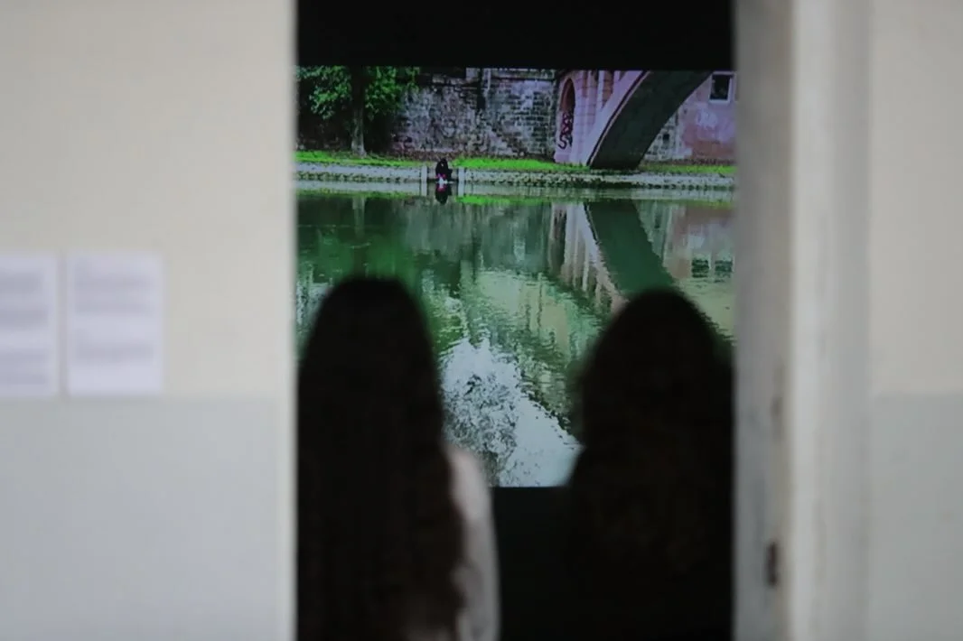 Fluid Intelligence: Companion Exhibition