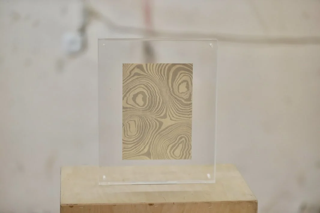 Fluid Intelligence: Companion Exhibition