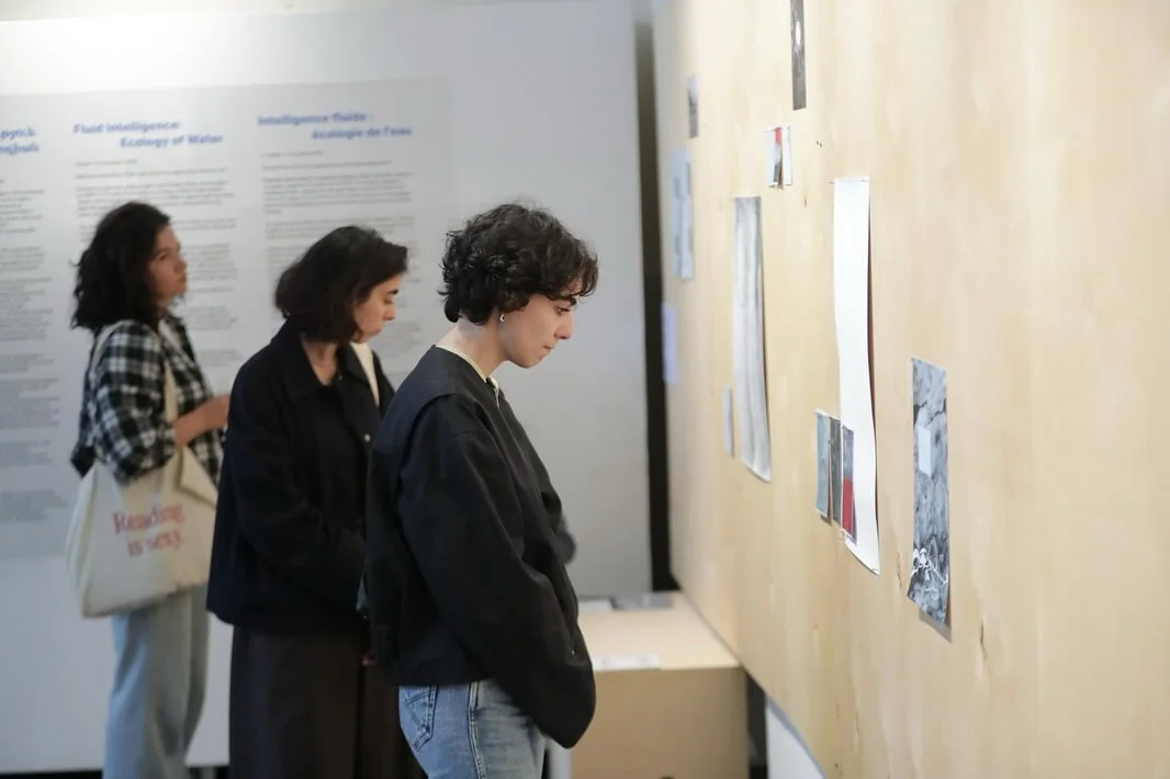 Fluid Intelligence: Companion Exhibition