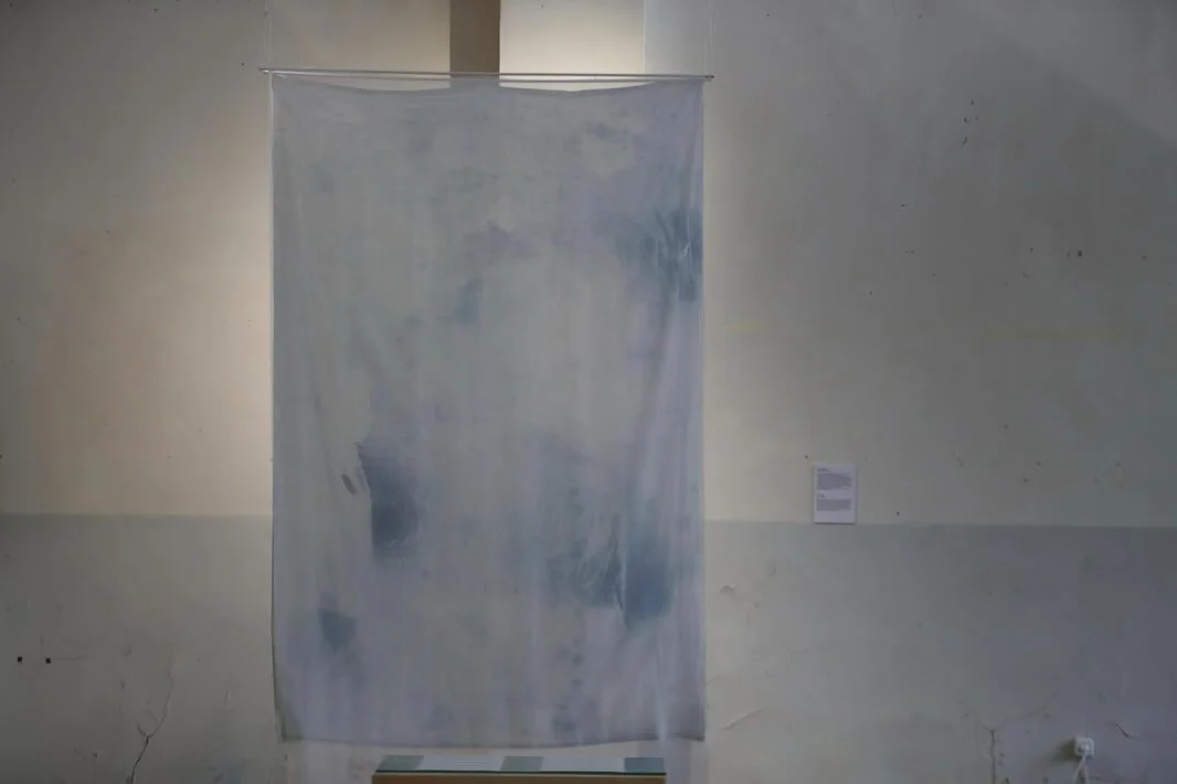 Fluid Intelligence: Companion Exhibition
