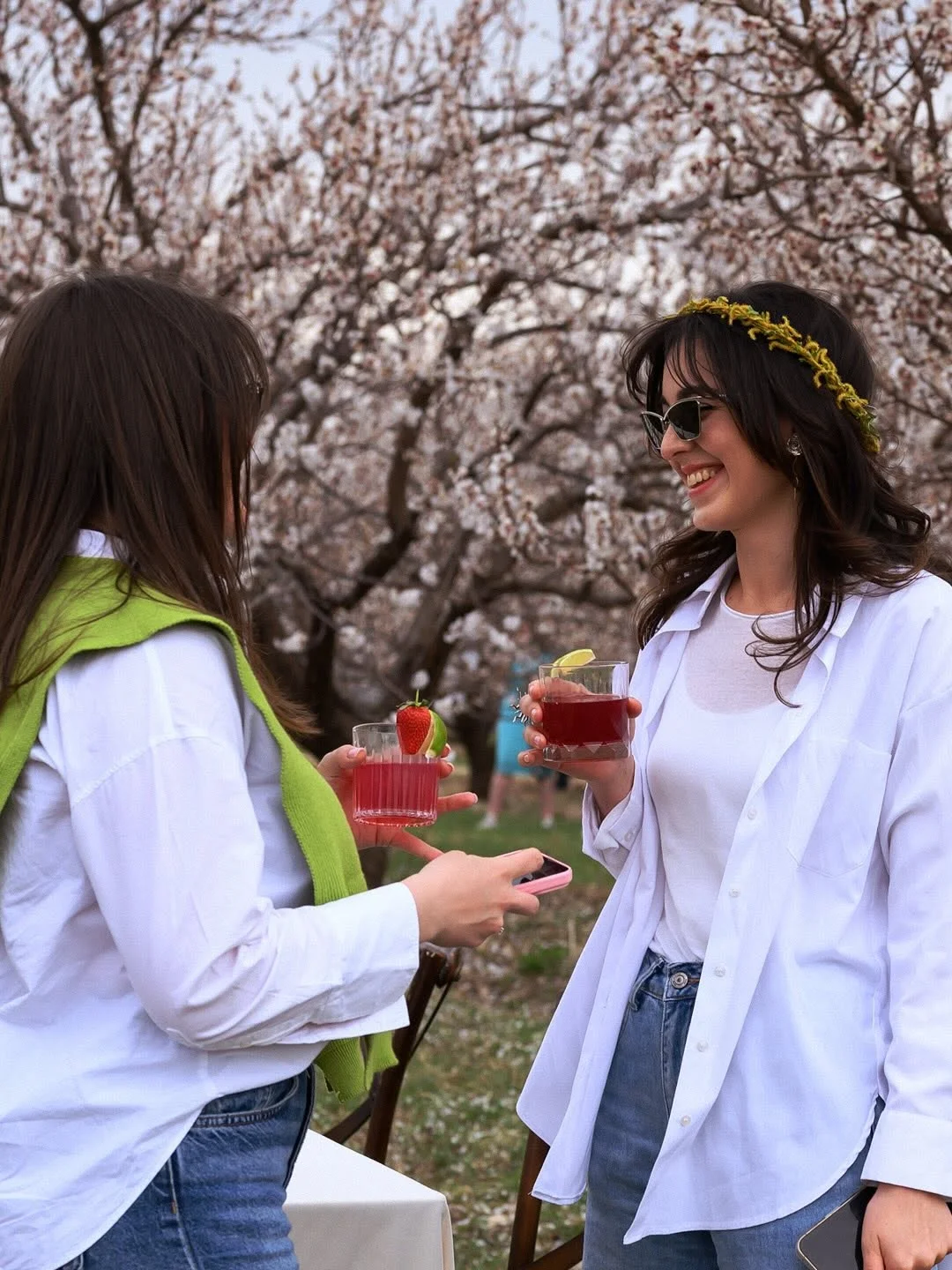 Pop-up ужин в виноградниках Арени
