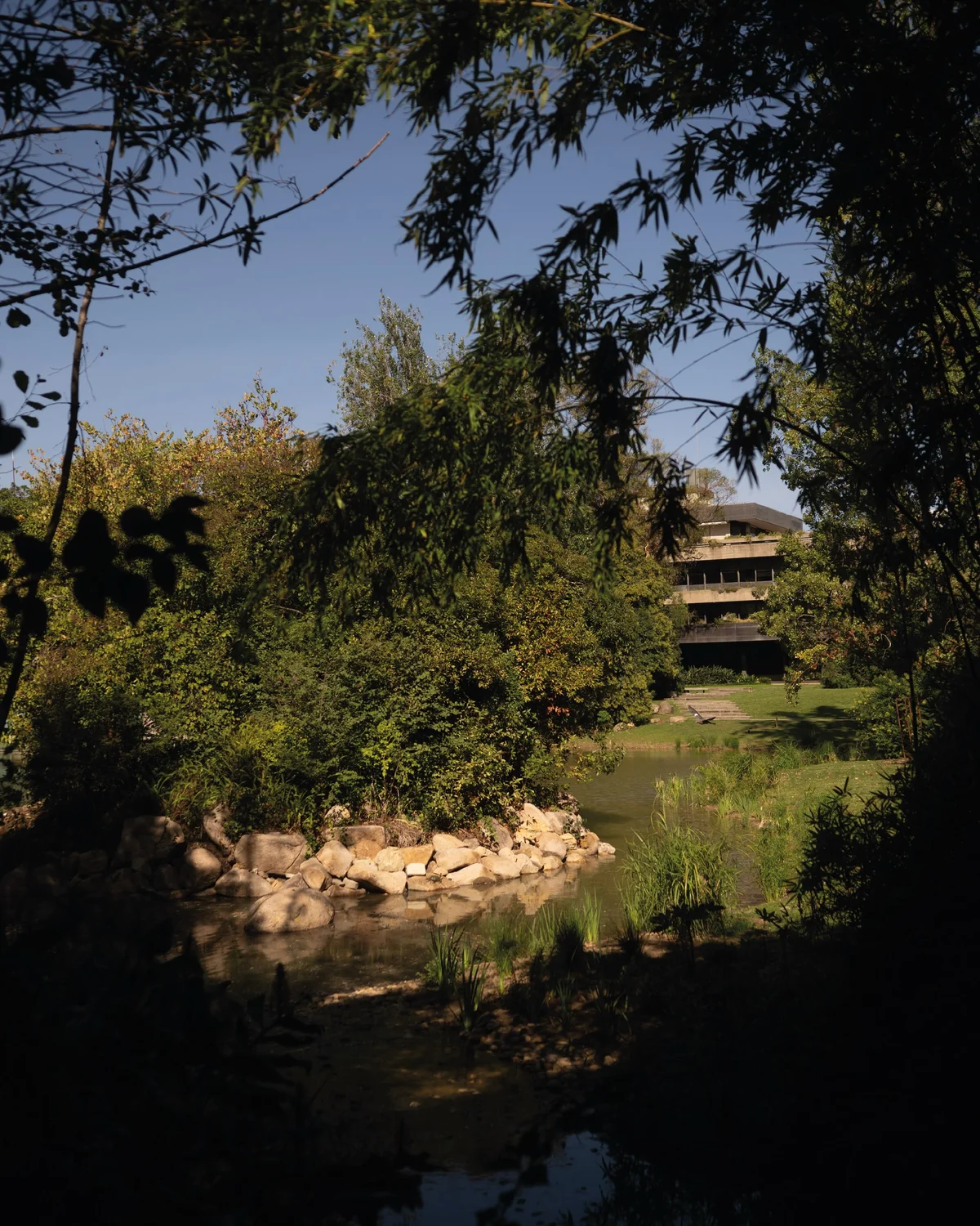 Այգու ստեղծումը
