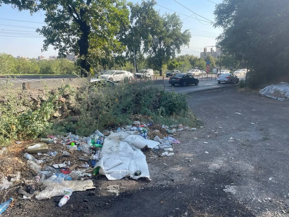 Isakov Avenue Cleanup