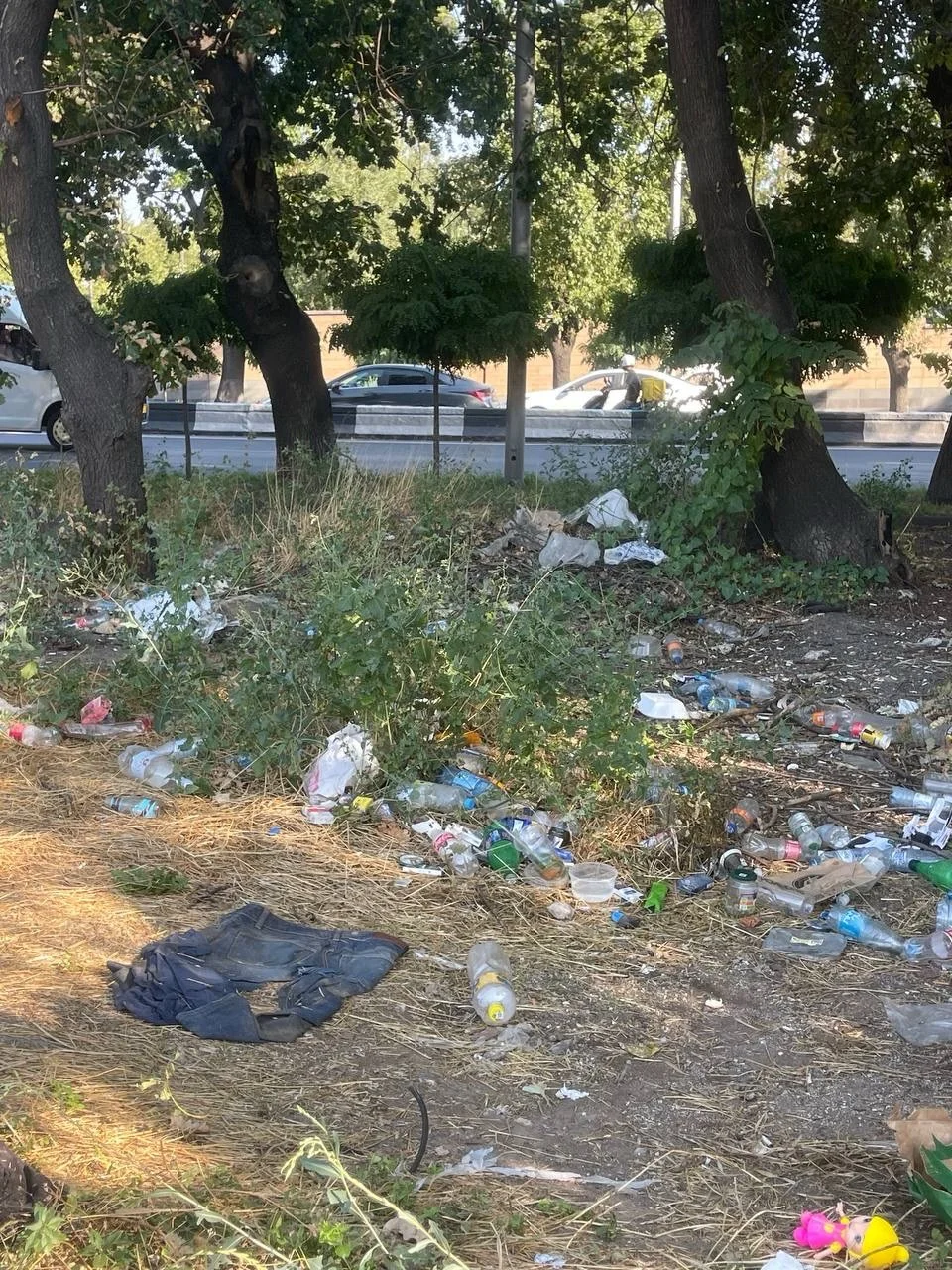 Isakov Avenue Cleanup