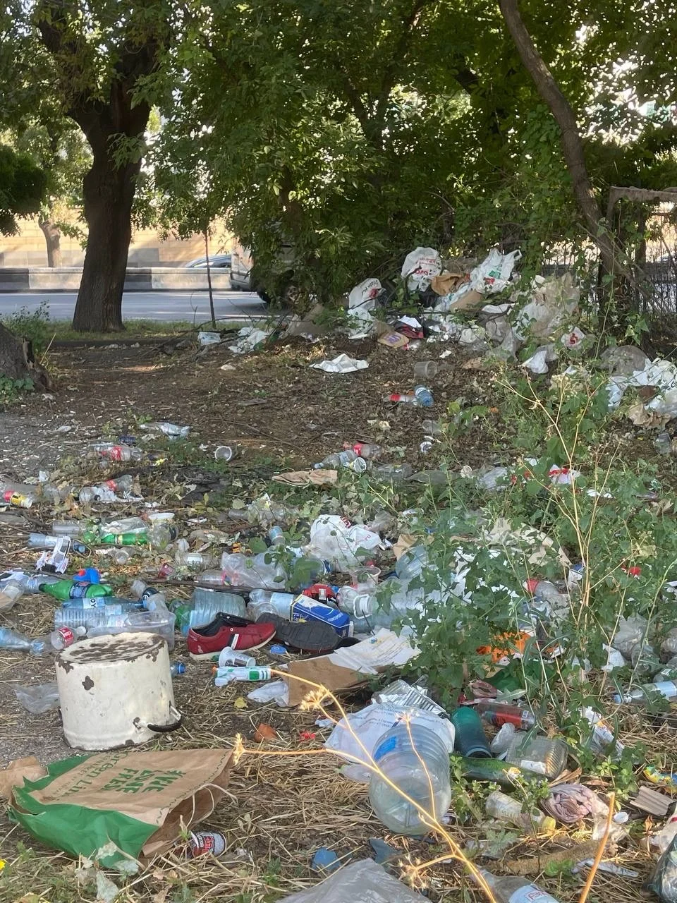 Isakov Avenue Cleanup