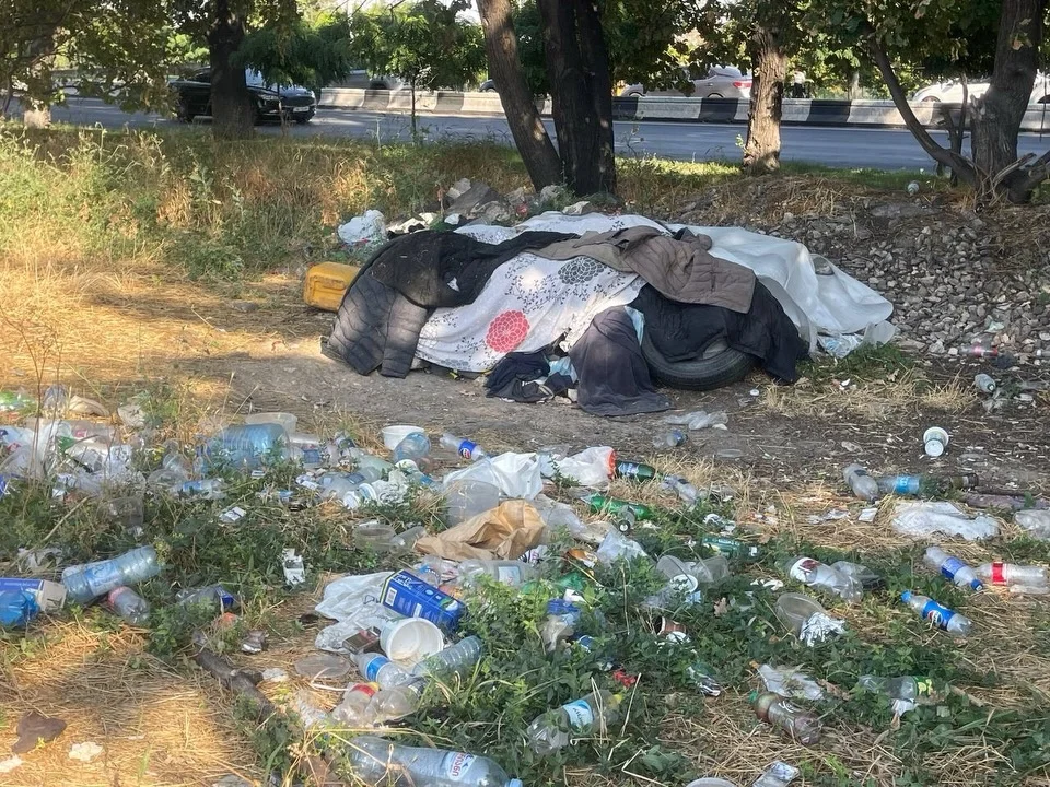 Isakov Avenue Cleanup