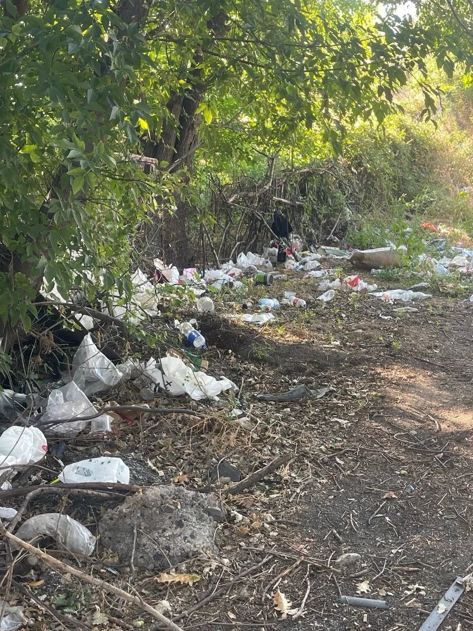 Isakov Avenue Cleanup