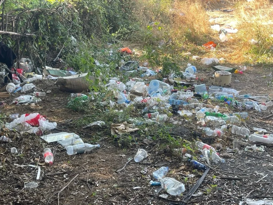 Isakov Avenue Cleanup