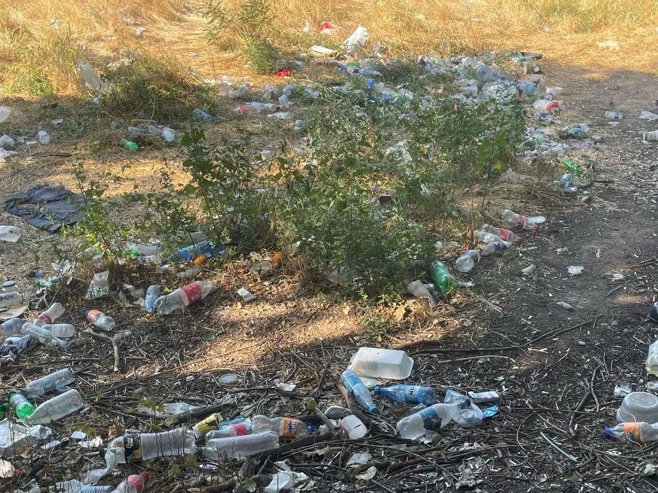 Isakov Avenue Cleanup