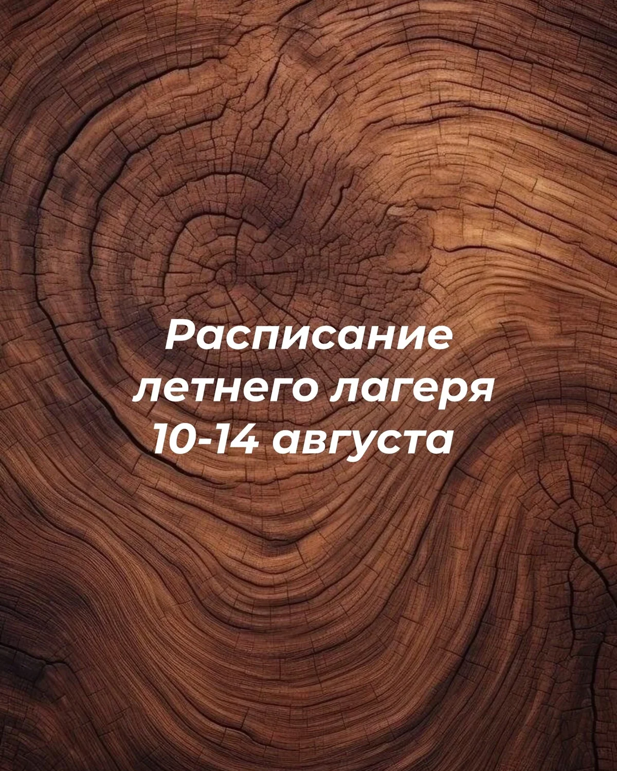 Ամառային ճամբար Столяркино-ում