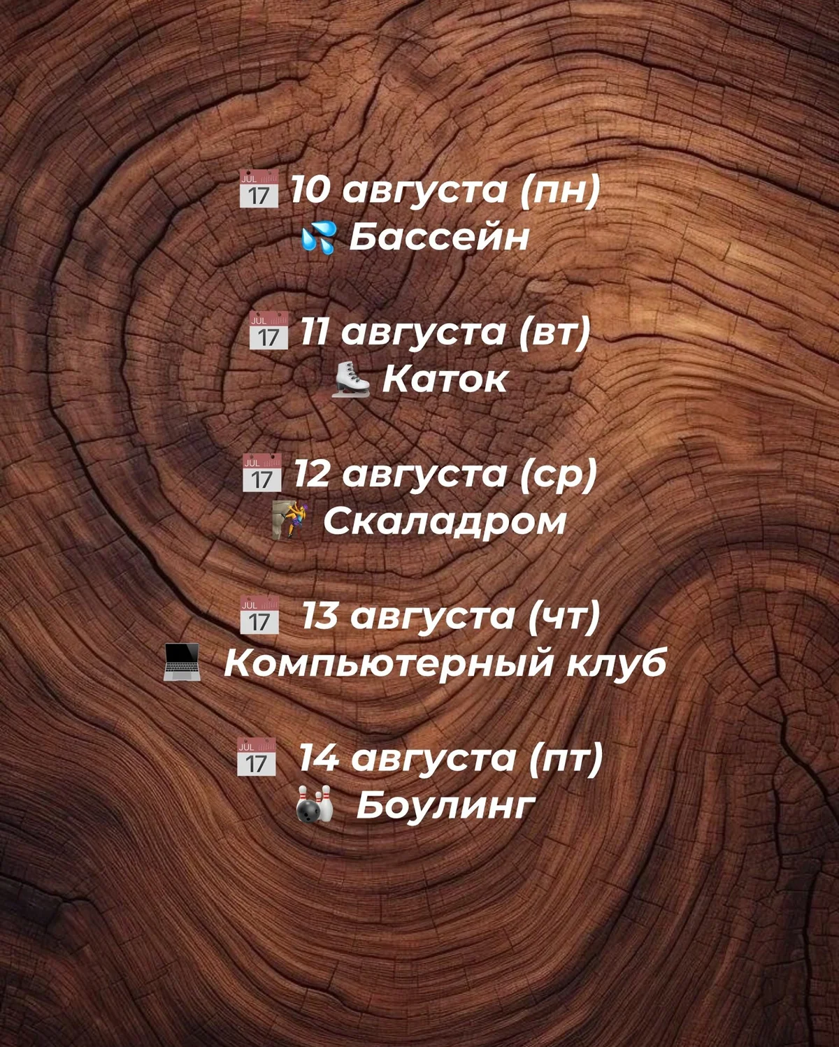 Ամառային ճամբար Столяркино-ում