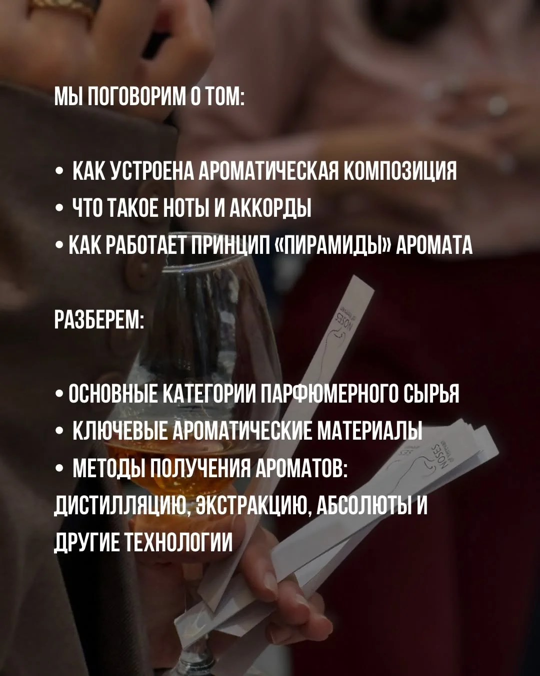 Perfume Basics
