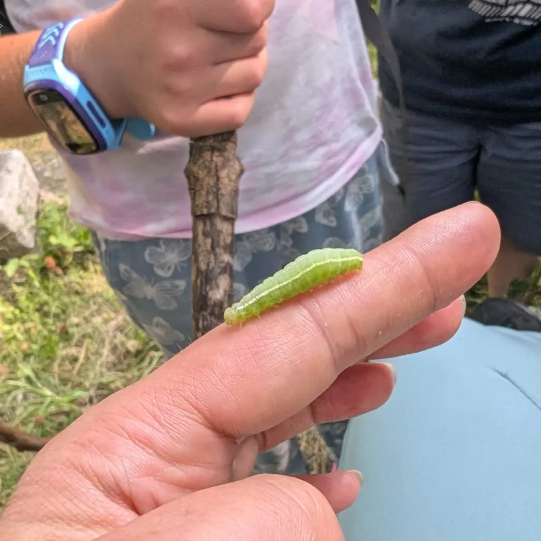 Autumn Kids Camp in Lori