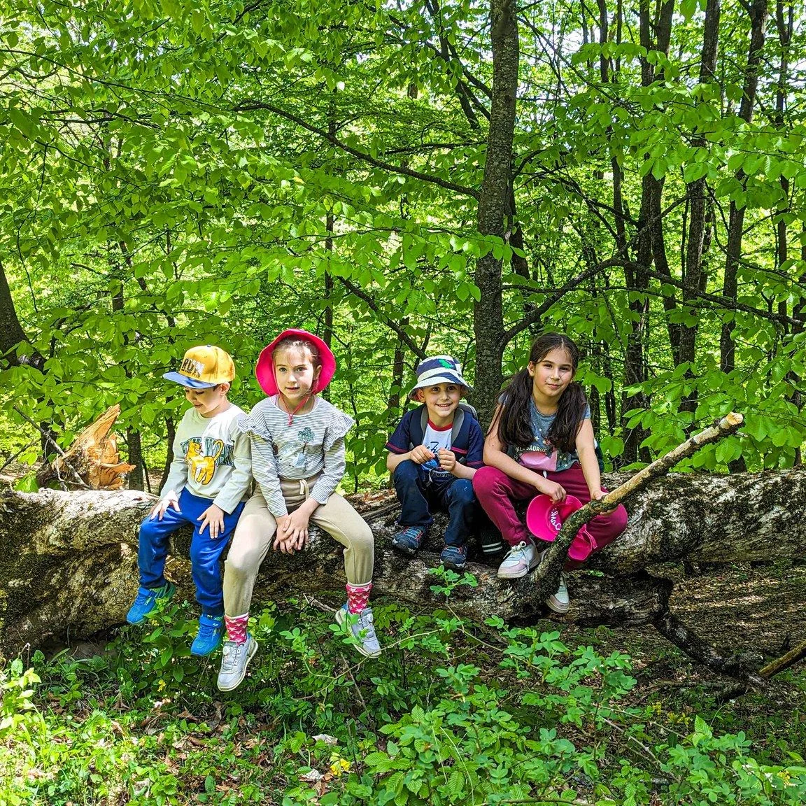 Kids Hike to Matosavank in Dilijan National Park