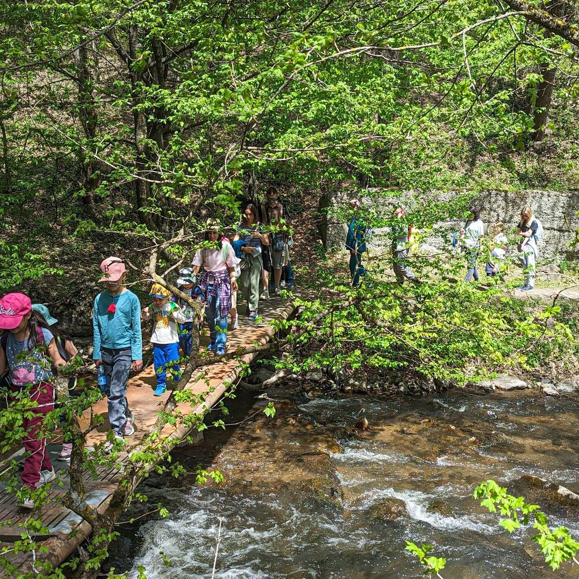 Kids Hike to Matosavank in Dilijan National Park