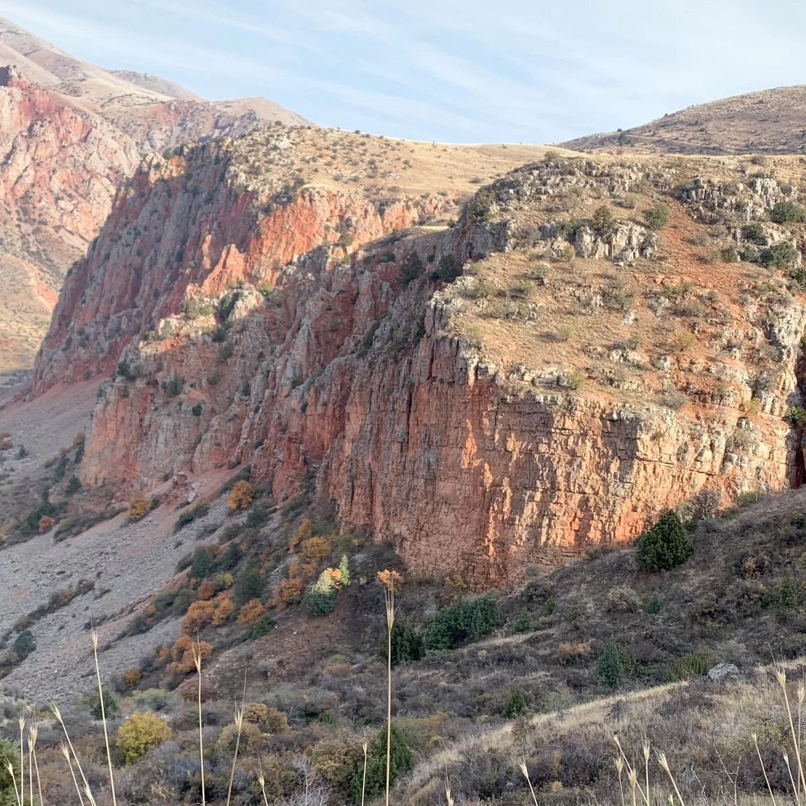 Kids Hike: Arpa Landscape & Grape Harvest