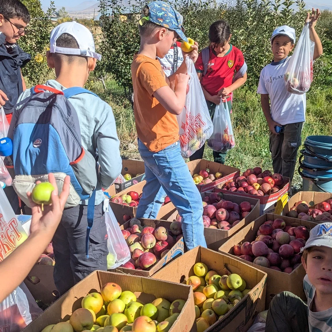Խոխա արշավ Վրանասար լեռ և խնձորահավաք