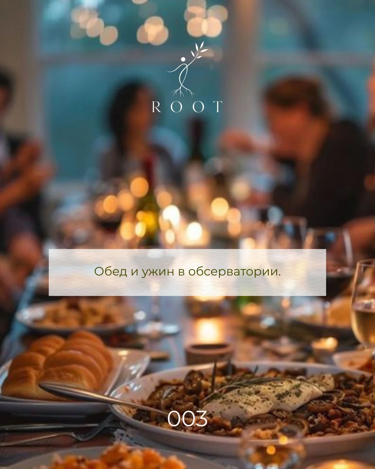 ROOT 003 — OUT OF ORBIT
