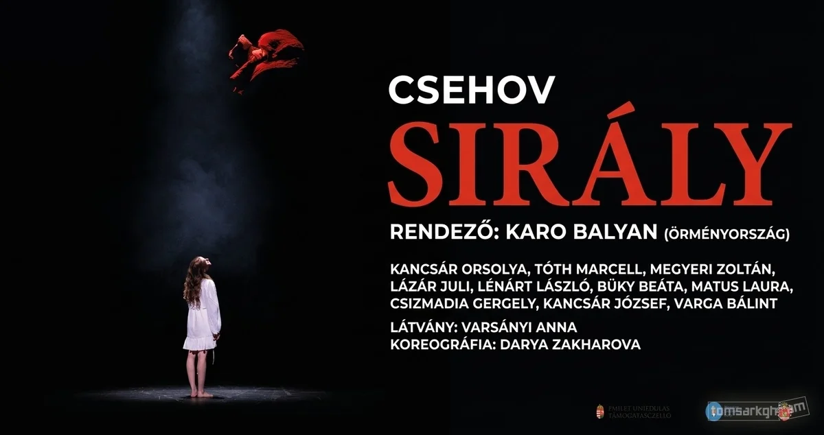 The Seagull: Tóth József Theatre