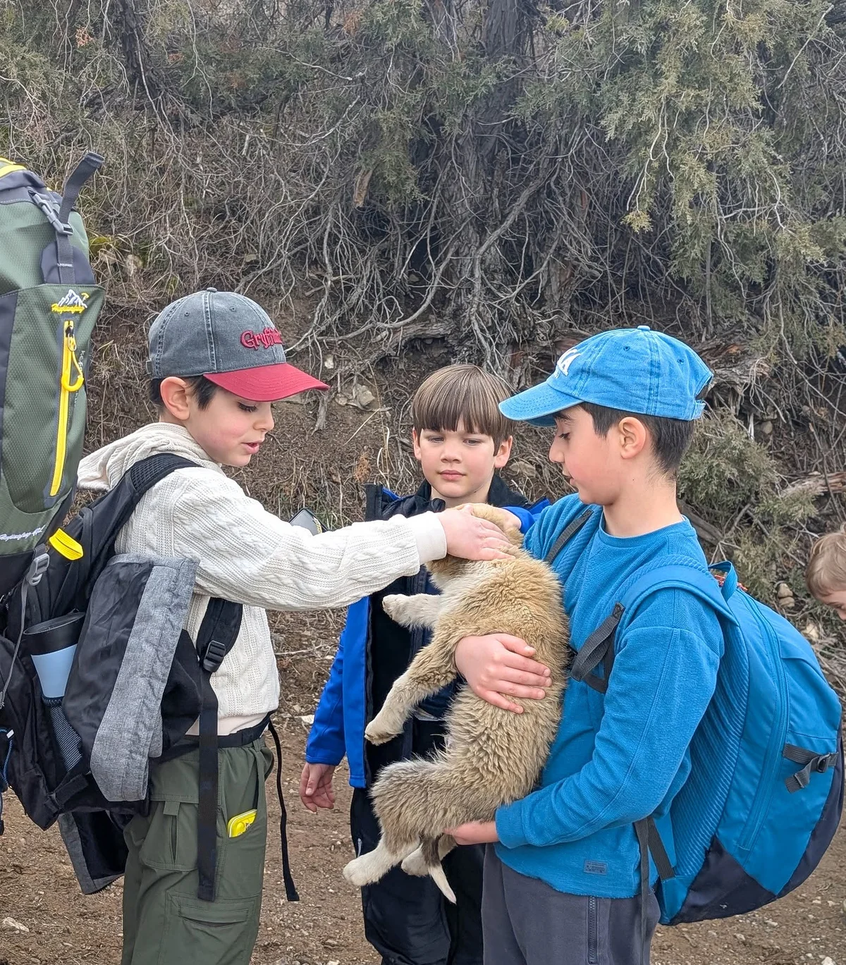 Kids Hike to Havuts Tar