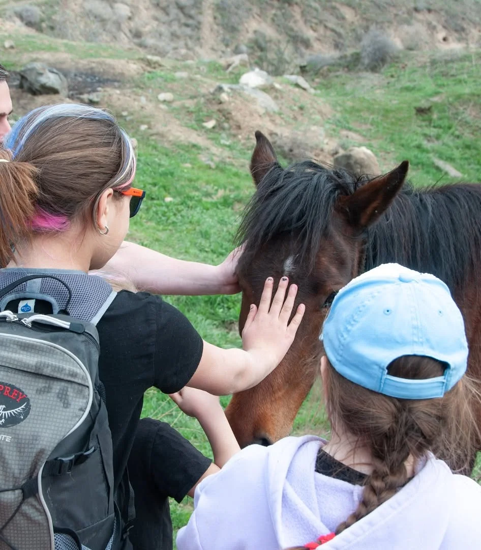 Kids Hike to Havuts Tar