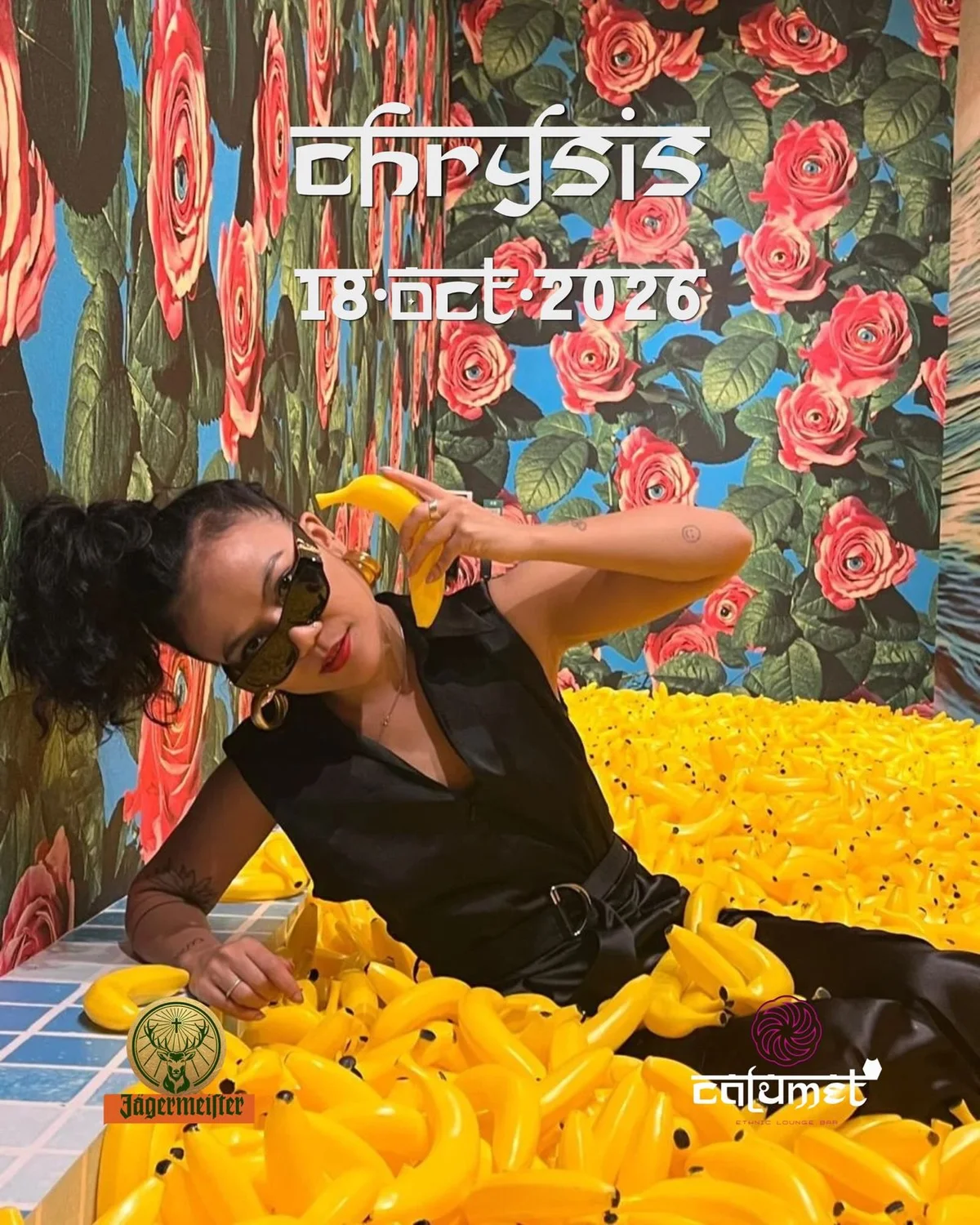 Calcoolsun: Chrysis