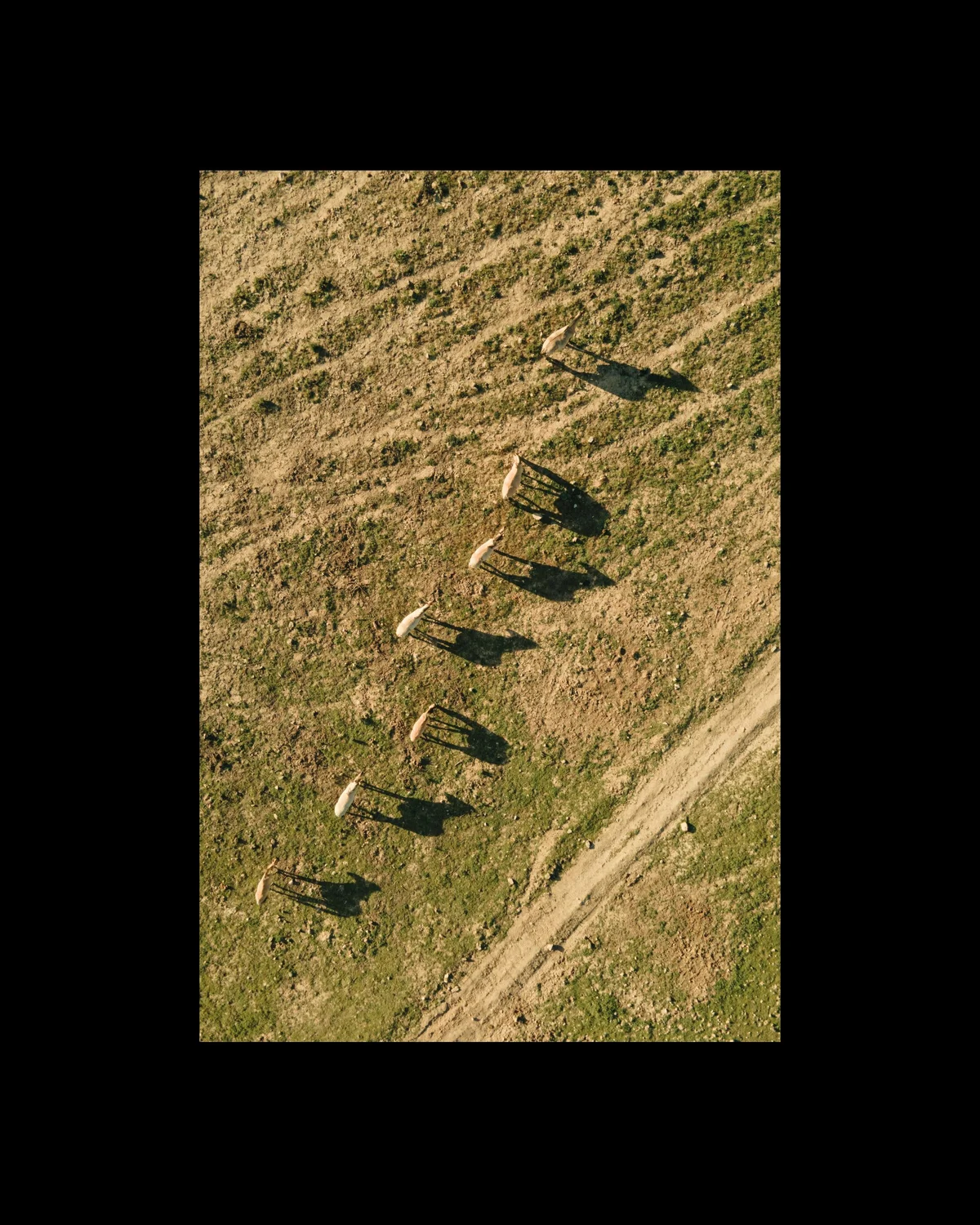 Guardians of Our Natural Heritage