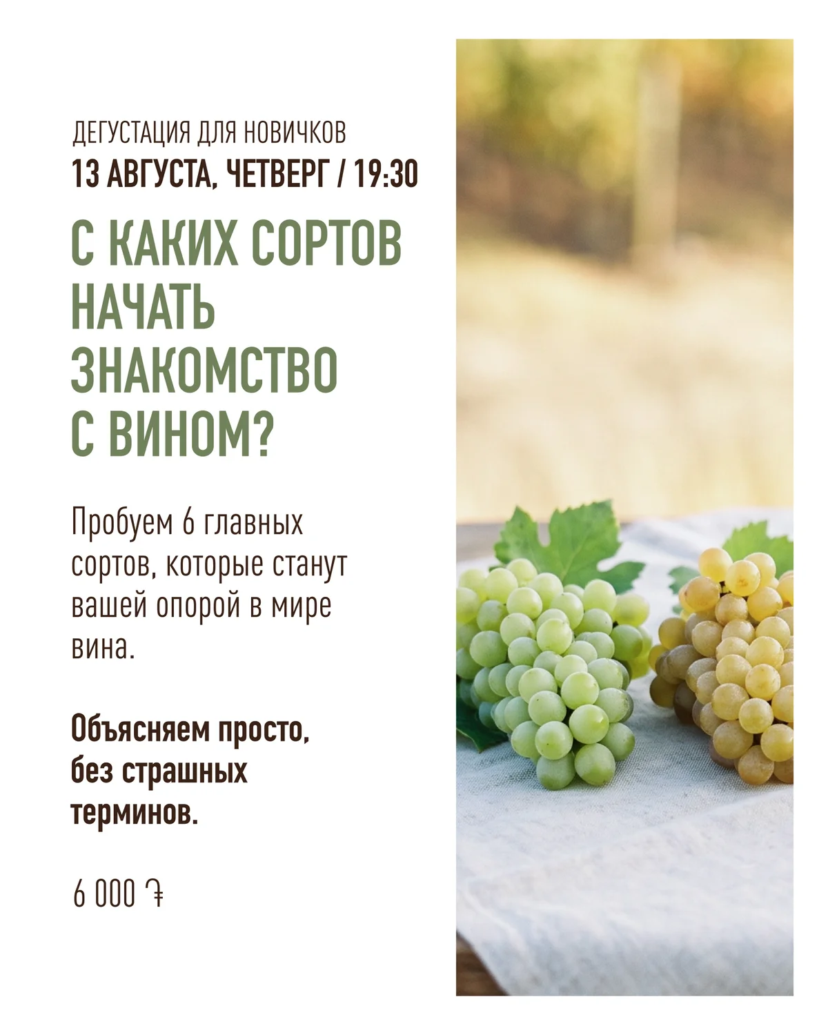 Дегустация для новичков