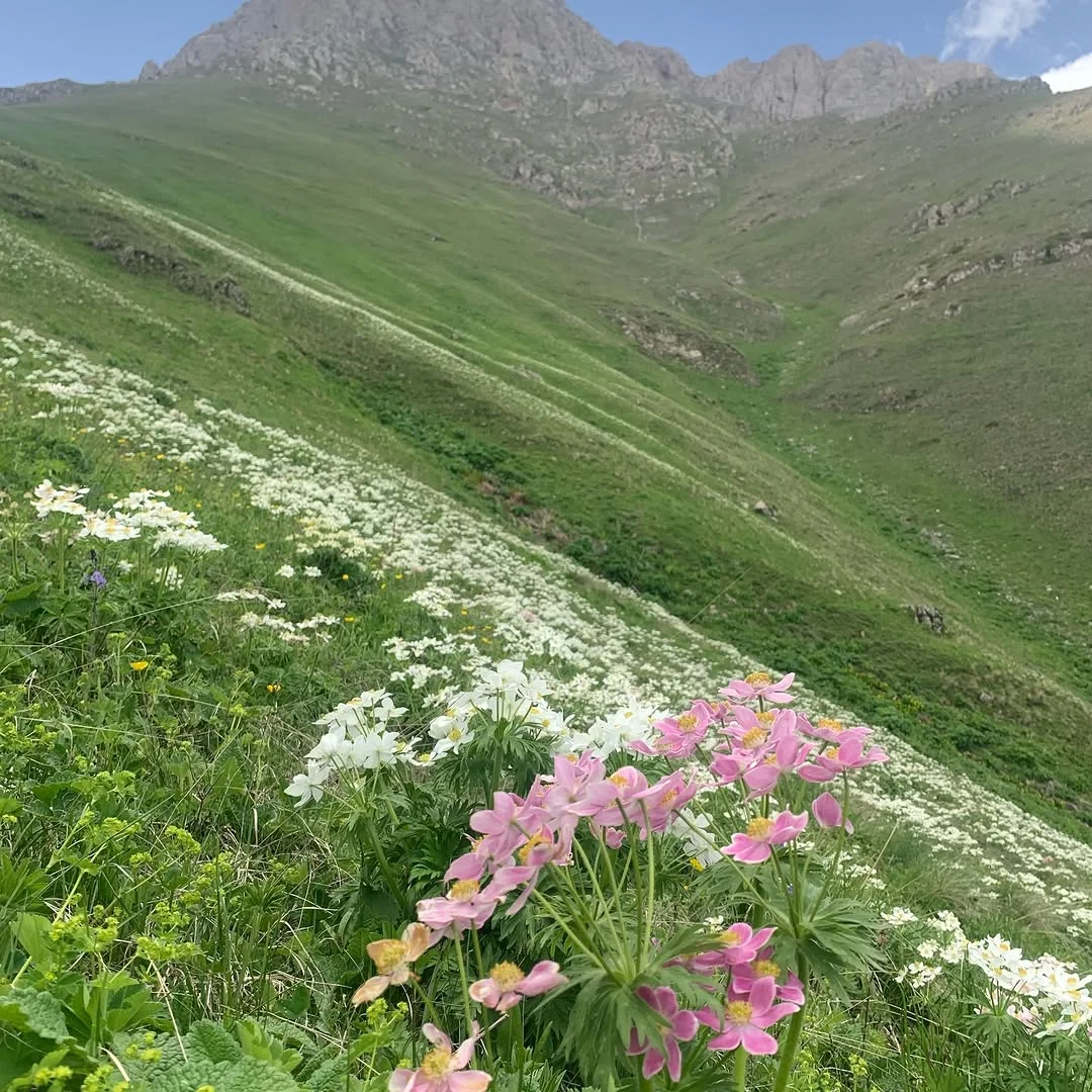 Վերելք Խուստուփ լեռ