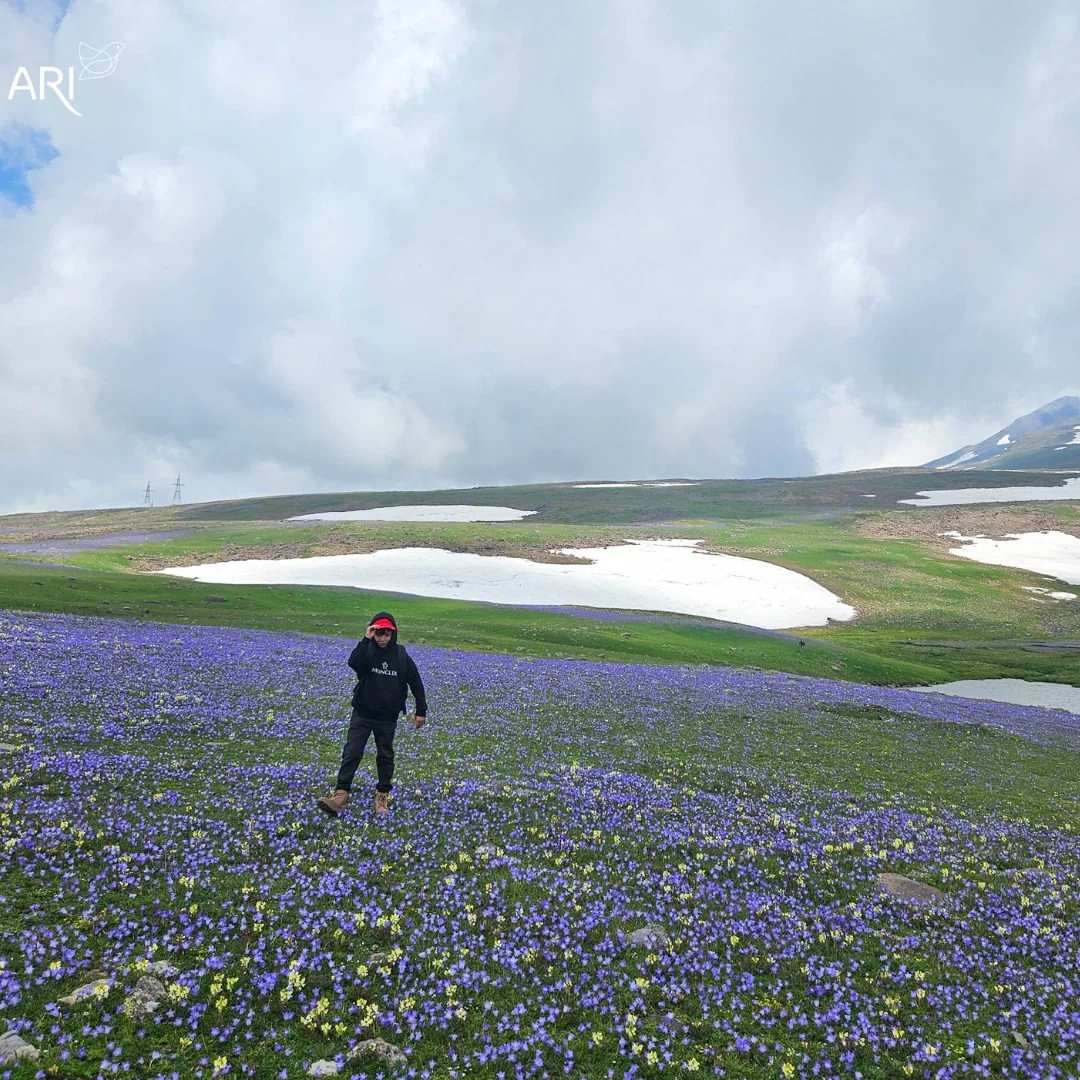 Kids Hike to Qari Lake