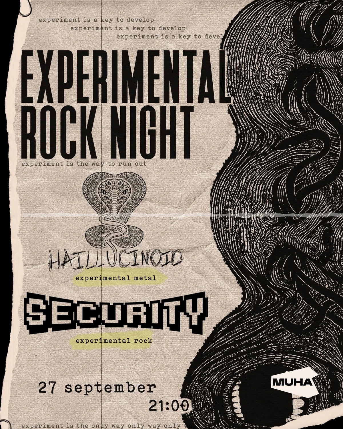 Experimental Rock Night: Haillucinoid and Security