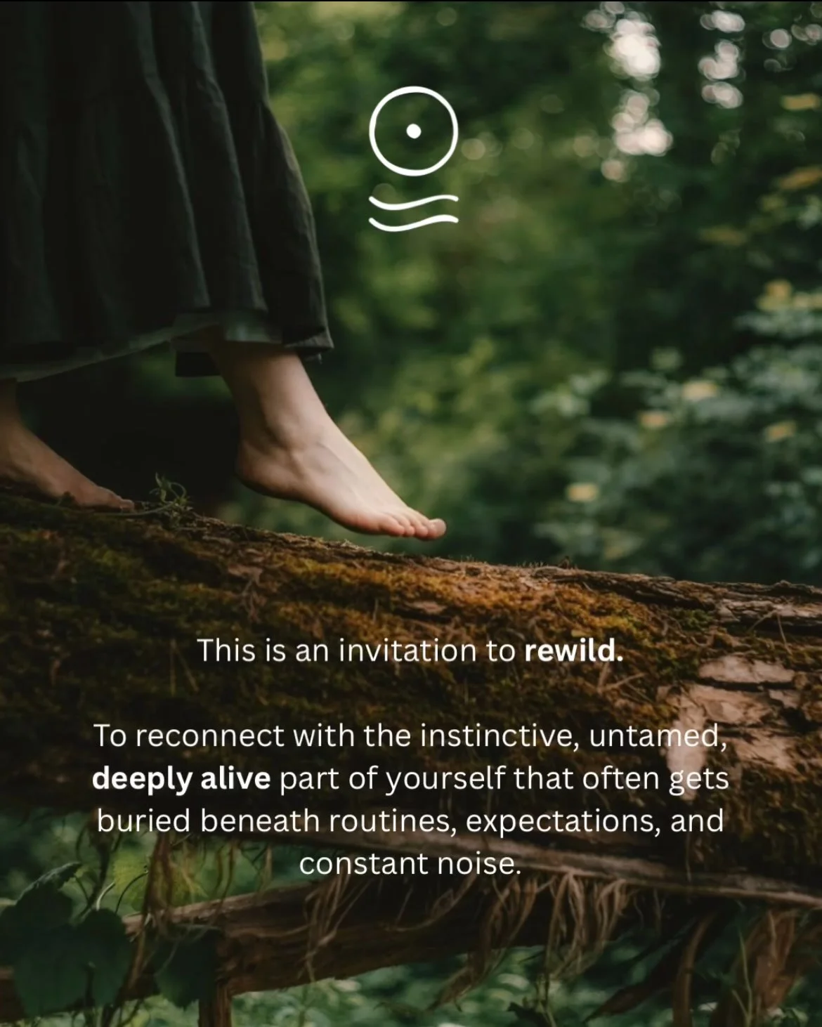 Rewild & Reset