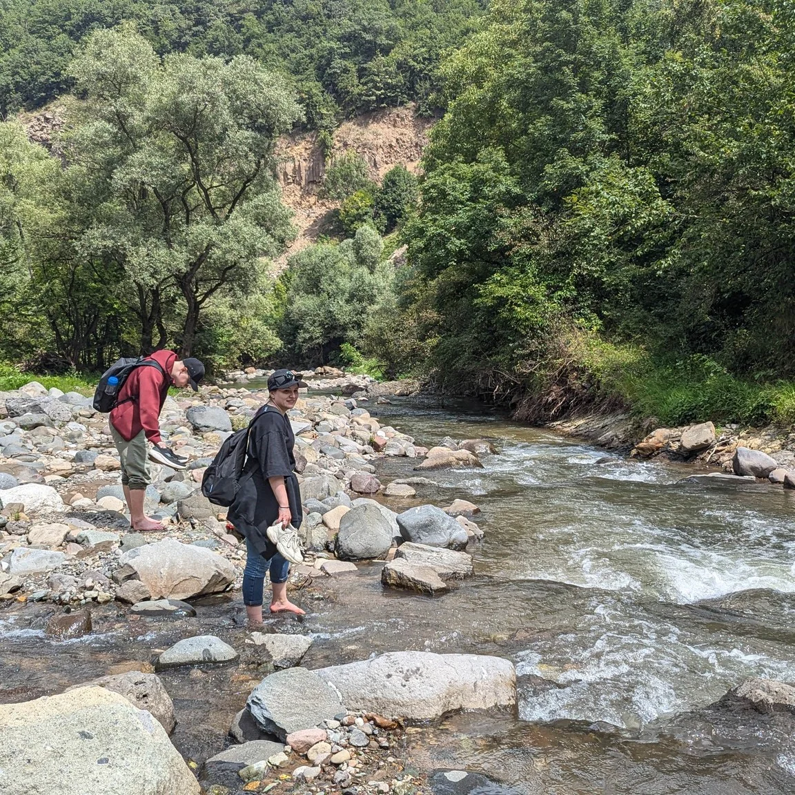Dsegh - Qarinj - Tumanyan
